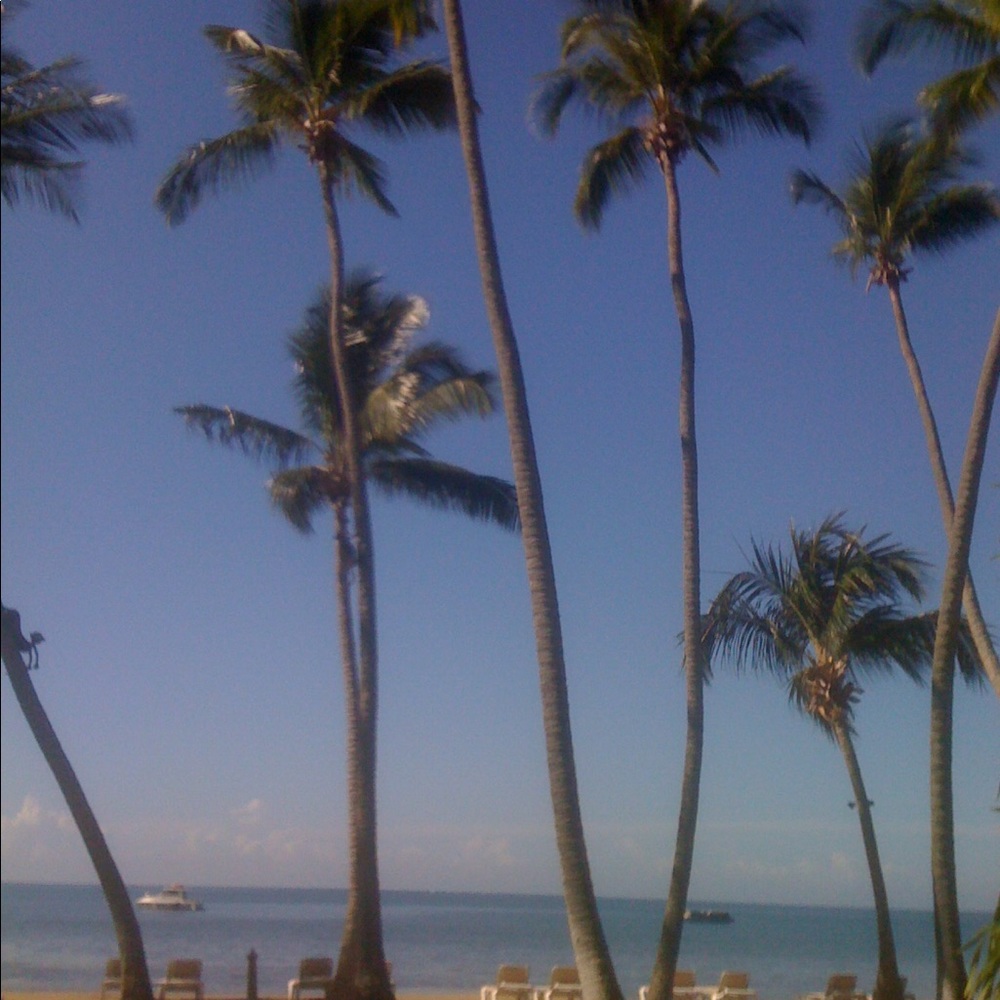 Meet your Posher, Pat